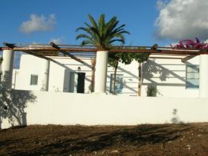 una pared blanca con una palmera y una casa en Villa I Geki, en Malfa