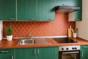 a kitchen with green cabinets and a sink at Apartment WG Zimmer Komplett Ausgestattet in Buchs +1 photo