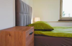 a bed with a green pillow next to a window at Apartment WG Zimmer Komplett Ausgestattet in Buchs