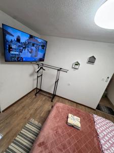 TV a/nebo společenská místnost v ubytování Apartman Josip
