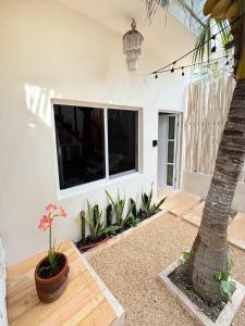 イスラ・ムヘーレスにあるCasa rocaの大きなテレビとヤシの木のあるリビングルーム