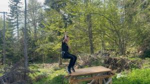 Hosté ubytování Hipi Nest