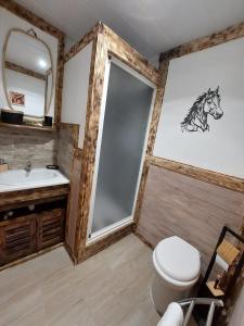 a bathroom with a shower and a toilet and a sink at DOMAINE DE LA LUCARLIERE in Saint-Cyr-des-Gâts