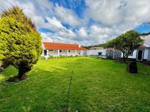 a yard with a house and a tree in the yard at Solar do Maranhão in Capelas