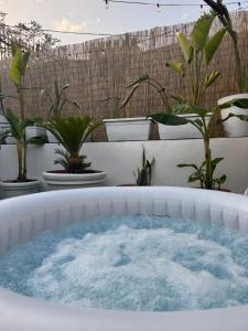 a bath tub filled with water next to potted plants at Real suite spa in Palermo