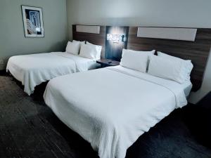 Postel nebo postele na pokoji v ubytování Holiday Inn Express Kenedy by IHG