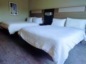 Postel nebo postele na pokoji v ubytování Holiday Inn Express Kenedy by IHG
