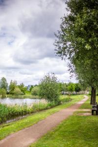 a dirt path next to a lake with a tree at Homestay Glan Llyn in Newport
