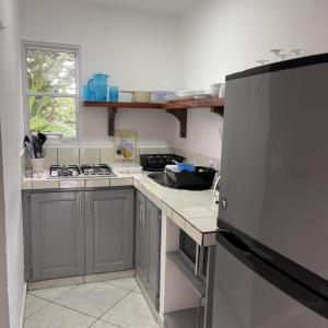 Kuchyň nebo kuchyňský kout v ubytování HUMMINGBIRD CABARETE