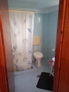 a bathroom with a toilet and a shower curtain at Mylonas Rooms in Pandokrátor