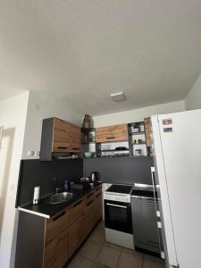 a small kitchen with a sink and a refrigerator at Kuća za odmor Ana in Oklaji