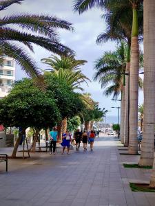 eine Gruppe von Menschen, die einen Bürgersteig mit Palmen entlanggehen in der Unterkunft Martianez Luxury vista Tenerife in Puerto de la Cruz