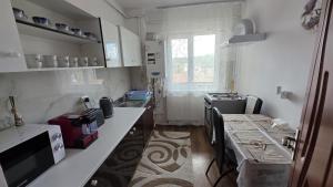 a small kitchen with a counter and a stove at ELIZA's HOUSE in Petroşani