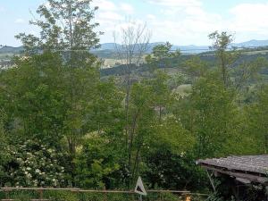 a view of a forest of trees from a house at La corte del Gavi in Bosio