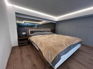 Posteľ alebo postele v izbe v ubytovaní Eco Pro Apart on Kamanina