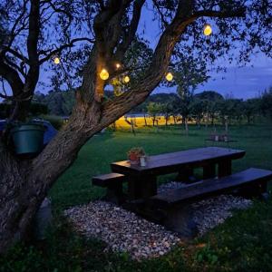 a picnic table under a tree in a park at night at Kuća za odmor DRAVA LIFE in Molve +21 photos