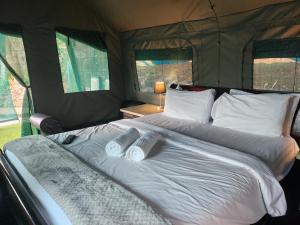 a bed in a tent with two pillows on it at Tent On Manor in Durban
