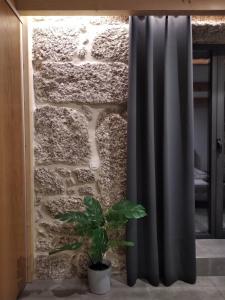 a shower curtain next to a stone wall with a plant at Casa do Oitão in Vieira do Minho