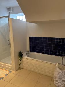 a bathroom with a shower and a bath tub at High Tide Beach House on waters edge in Bangor +24 photos