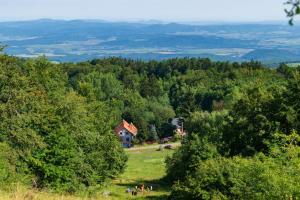 a house on top of a hill with trees at Belle-Aire Deux in Mátraszentimre