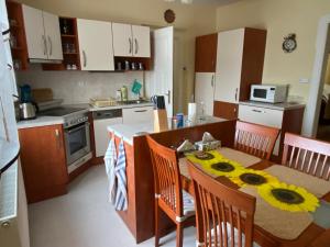 Kuchyň nebo kuchyňský kout v ubytování Apartmán Kumburská - Nová Paka