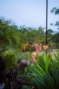 Gallery image of Jardim de Tereza Cabana Manjericão I Camboriú in Itajaí