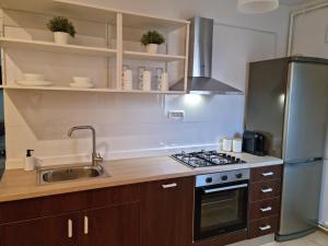 a kitchen with a stainless steel refrigerator and a sink at Iulius Town Charm Cozy Apartments in Timişoara +13 photos