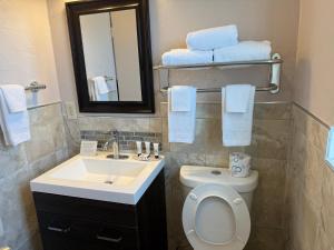 Un baño con lavabo, inodoro y espejo. en Americas Best Value Inn by Sonesta, en Pecos