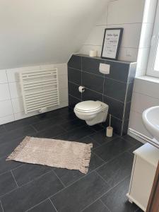 a bathroom with a toilet and a sink at Ferienwohnung direkt am See in Kalkar