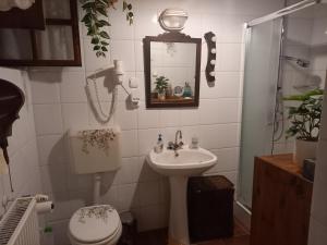 a bathroom with a sink and a toilet and a mirror at Műemlék parasztház in Szentbékkálla +20 photos