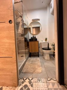 łazienka z prysznicem i toaletą oraz lustrem w obiekcie F2 moderne proche Paris w mieście Alfortville