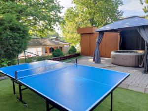 Stolní tenis v ubytování Vikendica Drinski mir nebo okolí