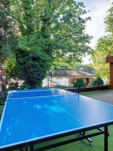 Stolní tenis v ubytování Vikendica Drinski mir nebo okolí