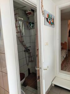 Koupelna v ubytování Vikendica Drinski mir + 37 fotografií