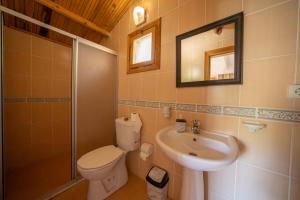 a bathroom with a toilet and a sink at La Dia Hotel Faralya in Fethiye +53 photos