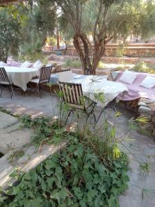 Giardino di Kasbah Timdaf
