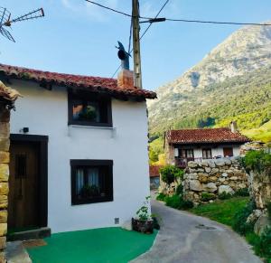 biały dom z zielonym trawnikiem przed górą w obiekcie Casita Tanea Montaña y cerca del mar en Cantabria w mieście Quintanilla