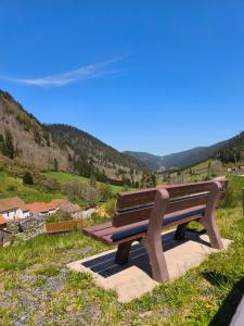 eine Holzbank auf einem Hügel in der Unterkunft Maison de montagne-Ski, randos Proche Gérardmer in Le Valtin