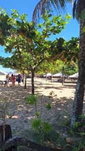 Příroda nedaleko ubytování v soukromí + 5 fotografií