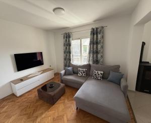 Μια τηλεόραση ή/και κέντρο ψυχαγωγίας στο Apartman Filip