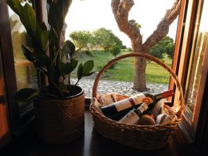 ein Korb mit Weinflaschen auf einem Fensterbrett in der Unterkunft The Stone Cottage Kos in Kos-Stadt