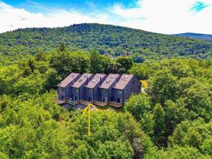 an aerial view of a house in the middle of a forest at Mountains Getaway in Campton