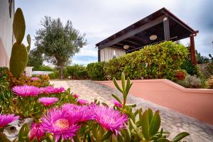 Vonkajšia záhrada v ubytovaní B&B Happy Days Golfo di Gallipoli