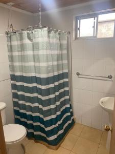 a bathroom with a shower curtain and a toilet at Von Menzel Bed and Beer in Parral
