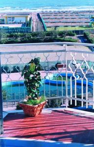 Bazén v ubytování Hotel Real nebo v jeho okolí