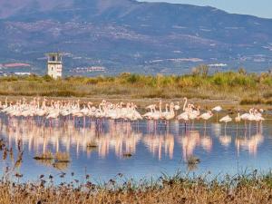 Paesaggio naturale nelle vicinanze dell'aparthotel