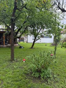 Κήπος έξω από το Apartments and Rooms MN, Konjic