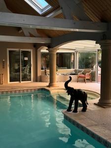 a statue of a black cat standing next to a swimming pool at Osiris Espace Piscine couverte et Chauffée in Mesves-sur-Loire