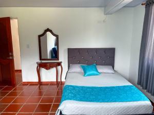 a bedroom with a bed with a blue pillow and a mirror at Estancia la Cascada in Florián