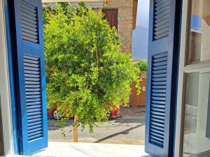 a tree in front of a window with a blue shutter at Stone Family Home Garden Center Beach in Kyparissia